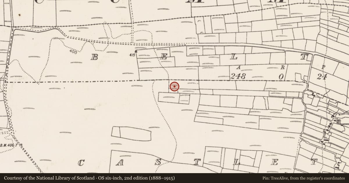 Ordnance Survey six-inch map, 2nd edition (1888–1915) covering the location of Megalithic tomb - court tomb, Castletown (Tirawley By., Lackan Par.), County Mayo, with a pin at the register's coordinates