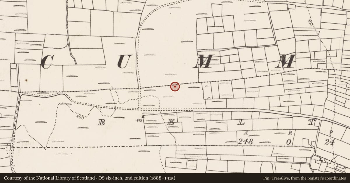 Ordnance Survey six-inch map, 2nd edition (1888–1915) covering the location of House - indeterminate date, Beltra (Tirawley By., Lackan Par.), County Mayo, with a pin at the register's coordinates