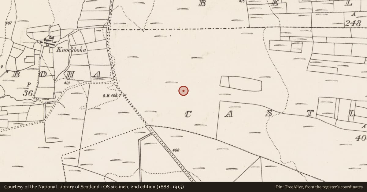 Ordnance Survey six-inch map, 2nd edition (1888–1915) covering the location of House - indeterminate date, Castletown (Tirawley By., Lackan Par.), County Mayo, with a pin at the register's coordinates