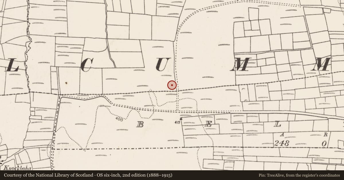 Ordnance Survey six-inch map, 2nd edition (1888–1915) covering the location of Enclosure, Rathlackan, County Mayo, with a pin at the register's coordinates