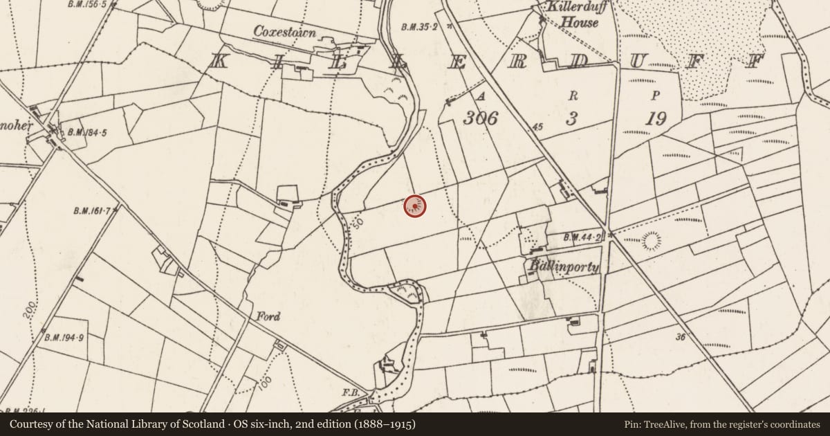 Ordnance Survey six-inch map, 2nd edition (1888–1915) covering the location of Ringfort - rath, Killerduff, County Mayo, with a pin at the register's coordinates