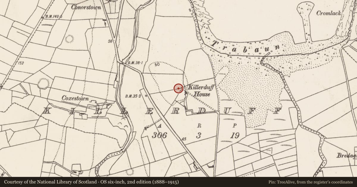 Ordnance Survey six-inch map, 2nd edition (1888–1915) covering the location of Church, Killerduff, County Mayo, with a pin at the register's coordinates