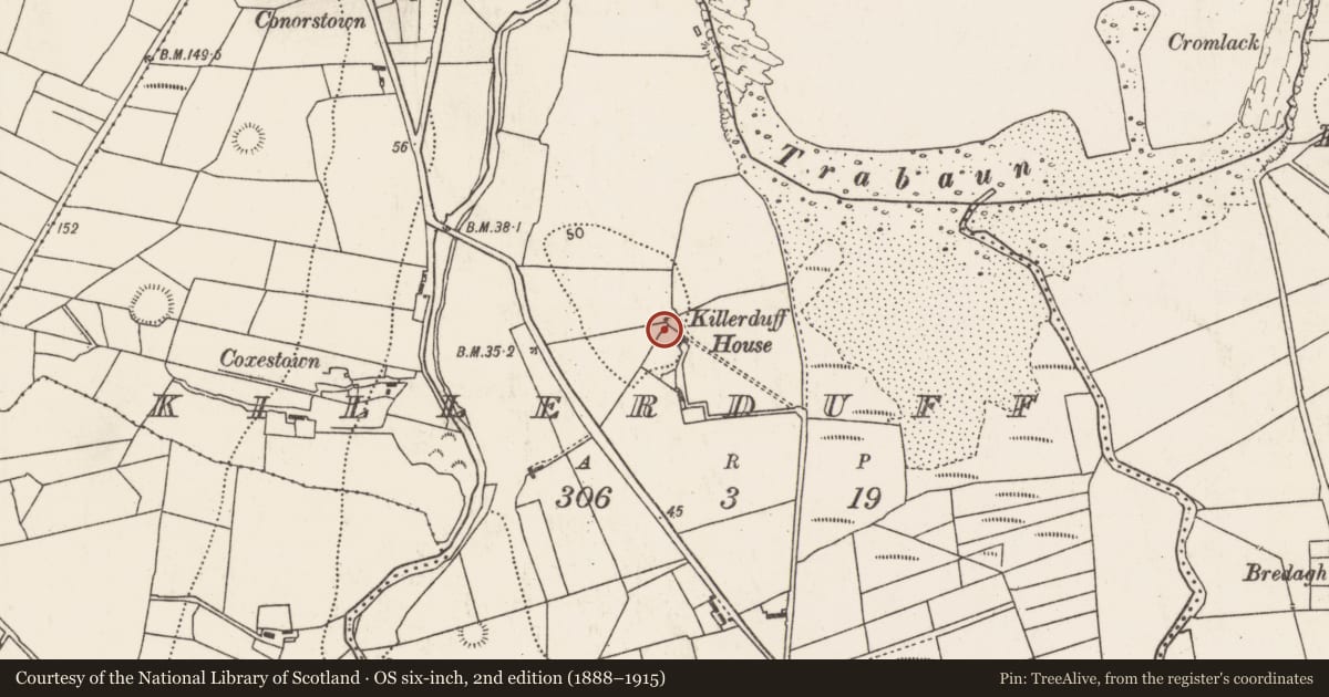 Ordnance Survey six-inch map, 2nd edition (1888–1915) covering the location of Cross-inscribed stone, Killerduff, County Mayo, with a pin at the register's coordinates