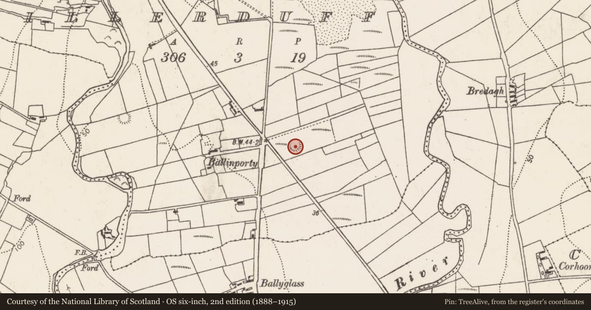 Ordnance Survey six-inch map, 2nd edition (1888–1915) covering the location of Ringfort - rath, Killerduff, County Mayo, with a pin at the register's coordinates