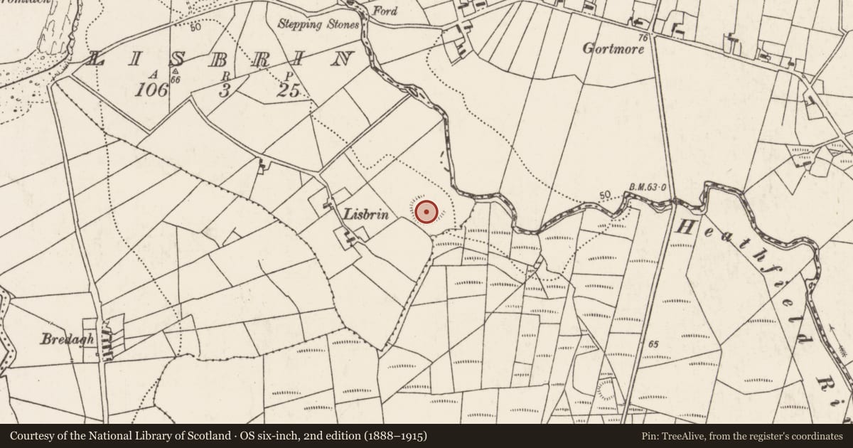 Ordnance Survey six-inch map, 2nd edition (1888–1915) covering the location of Ringfort - rath, Lisbrin, County Mayo, with a pin at the register's coordinates