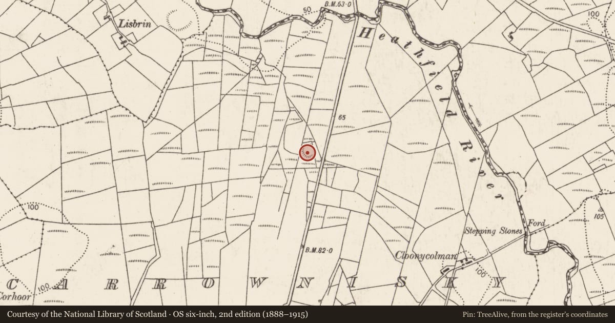 Ordnance Survey six-inch map, 2nd edition (1888–1915) covering the location of Ringfort - rath, Carrownisky, County Mayo, with a pin at the register's coordinates