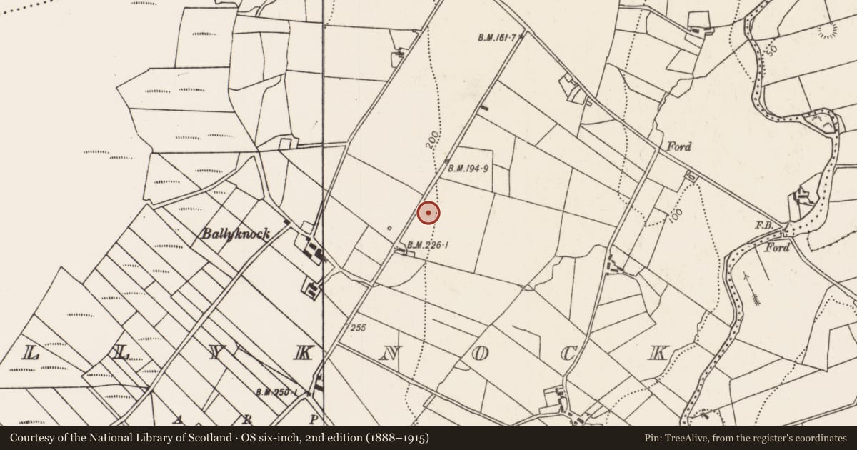Ordnance Survey six-inch map, 2nd edition (1888–1915) covering the location of Megalithic tomb - portal tomb, Ballyknock (Tirawley By., Doonfeeny Par.), County Mayo, with a pin at the register's coordinates
