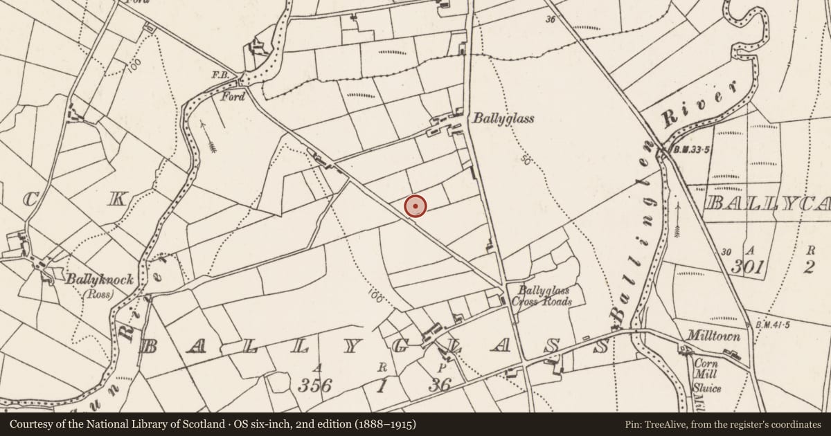 Ordnance Survey six-inch map, 2nd edition (1888–1915) covering the location of House - Neolithic, Ballyglass (Tirawley By., Doonfeeny Par.), County Mayo, with a pin at the register's coordinates