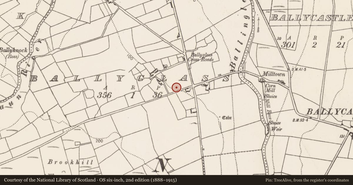 Ordnance Survey six-inch map, 2nd edition (1888–1915) covering the location of Megalithic tomb - court tomb, Ballyglass (Tirawley By., Doonfeeny Par.), County Mayo, with a pin at the register's coordinates