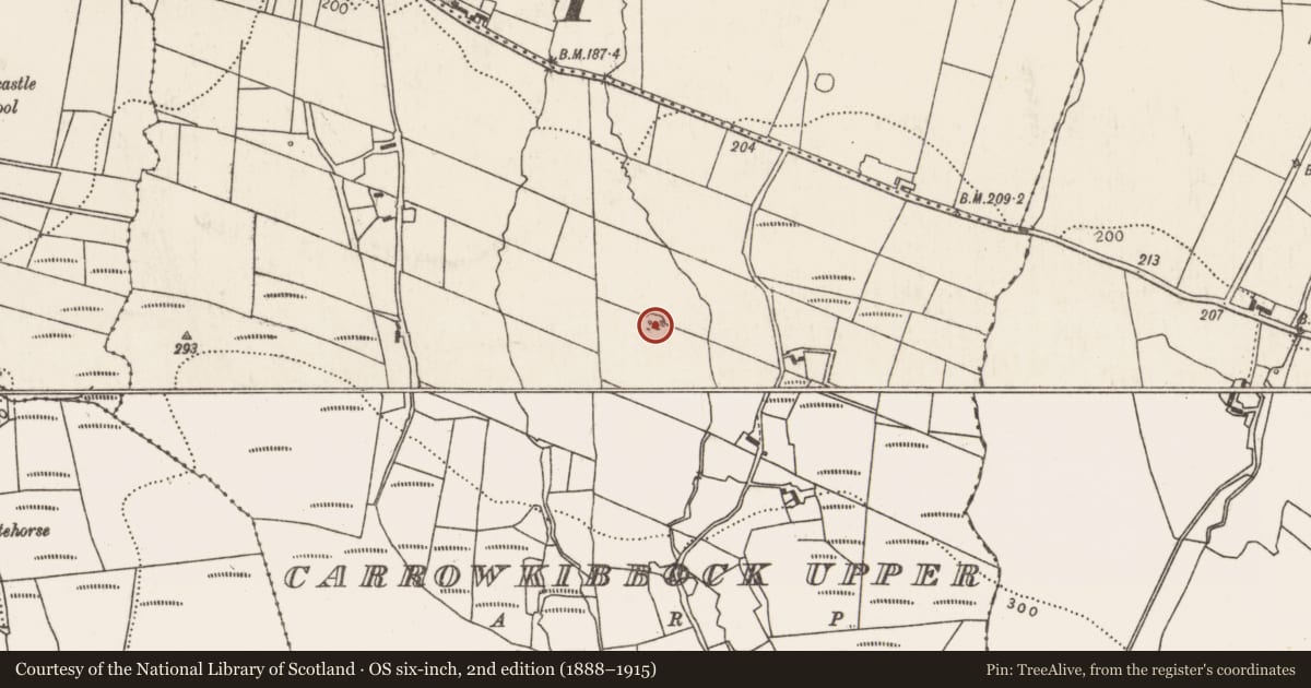 Ordnance Survey six-inch map, 2nd edition (1888–1915) covering the location of Ringfort - rath, Carrowkibbock Upper, County Mayo, with a pin at the register's coordinates