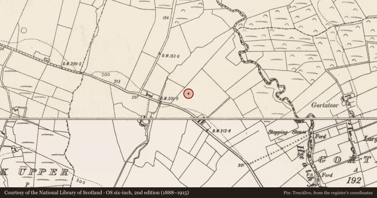 Ordnance Survey six-inch map, 2nd edition (1888–1915) covering the location of Megalithic tomb - court tomb, Rathoonagh, County Mayo, with a pin at the register's coordinates