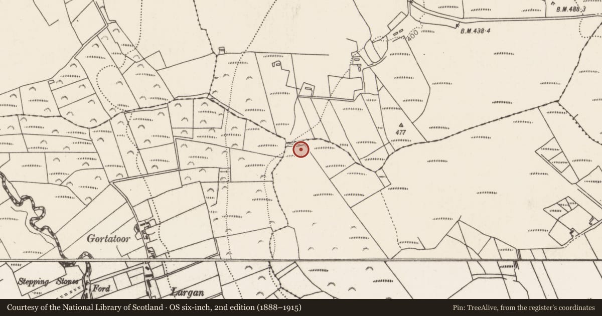 Ordnance Survey six-inch map, 2nd edition (1888–1915) covering the location of Megalithic tomb - court tomb, Carrowmacshane, County Mayo, with a pin at the register's coordinates