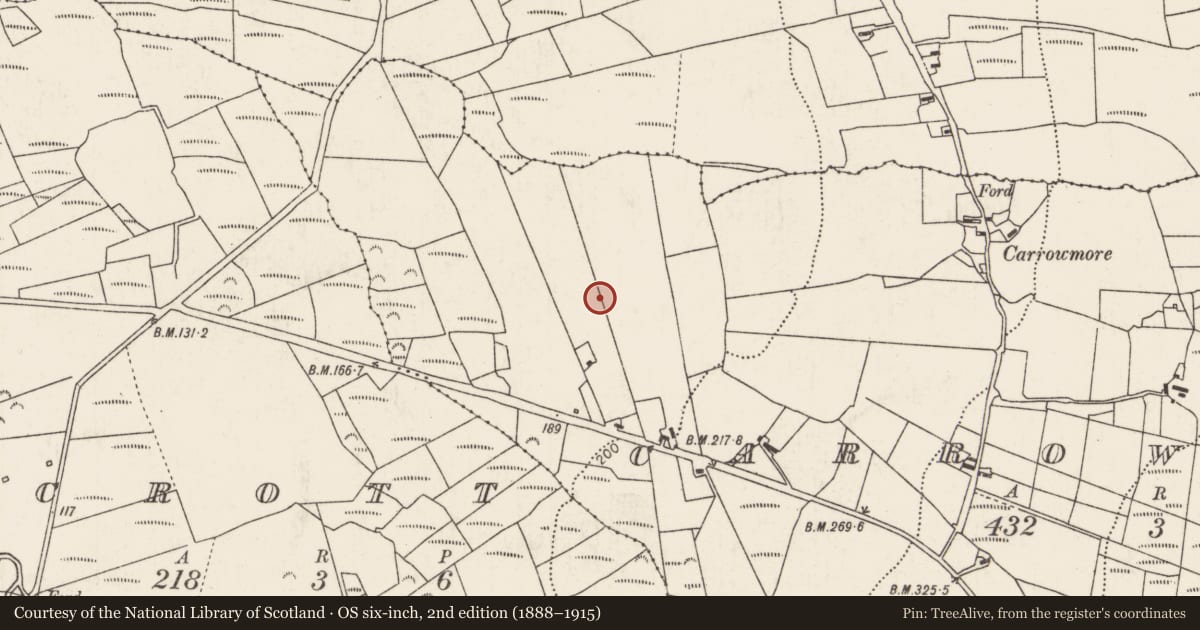 Ordnance Survey six-inch map, 2nd edition (1888–1915) covering the location of Enclosure, Carrowmore (Tirawley By., Kilbride Par.), County Mayo, with a pin at the register's coordinates