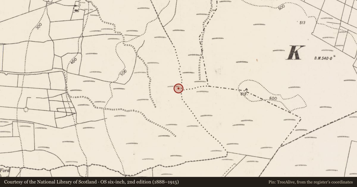 Ordnance Survey six-inch map, 2nd edition (1888–1915) covering the location of Field system, County Mayo, with a pin at the register's coordinates