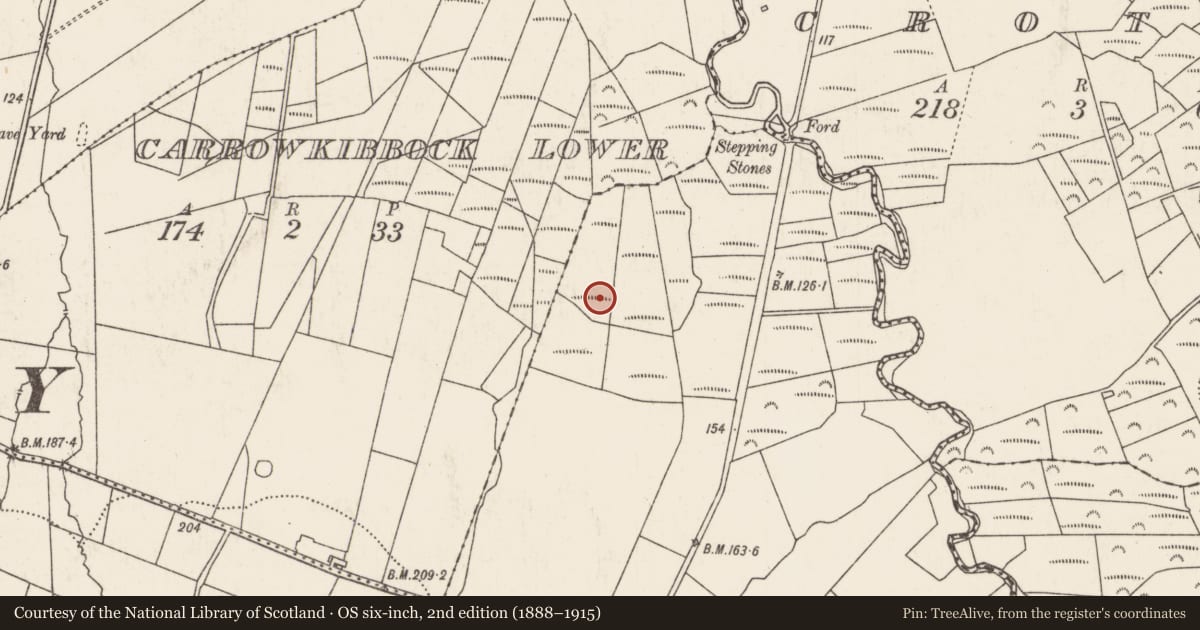 Ordnance Survey six-inch map, 2nd edition (1888–1915) covering the location of Ringfort - rath, Rathoonagh, County Mayo, with a pin at the register's coordinates