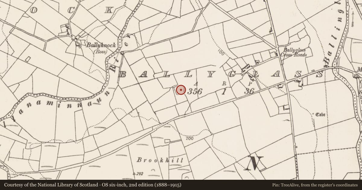 Ordnance Survey six-inch map, 2nd edition (1888–1915) covering the location of Ringfort - cashel, Ballyglass (Tirawley By., Doonfeeny Par.), County Mayo, with a pin at the register's coordinates