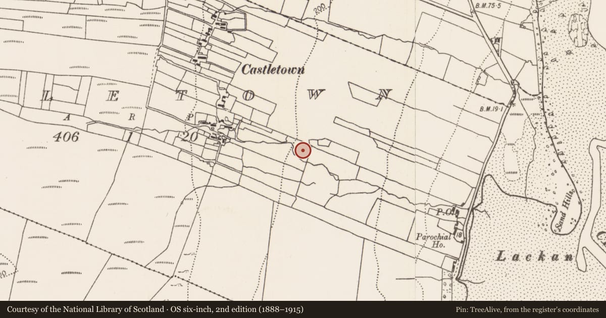 Ordnance Survey six-inch map, 2nd edition (1888–1915) covering the location of Souterrain, Castletown (Tirawley By., Lackan Par.), County Mayo, with a pin at the register's coordinates