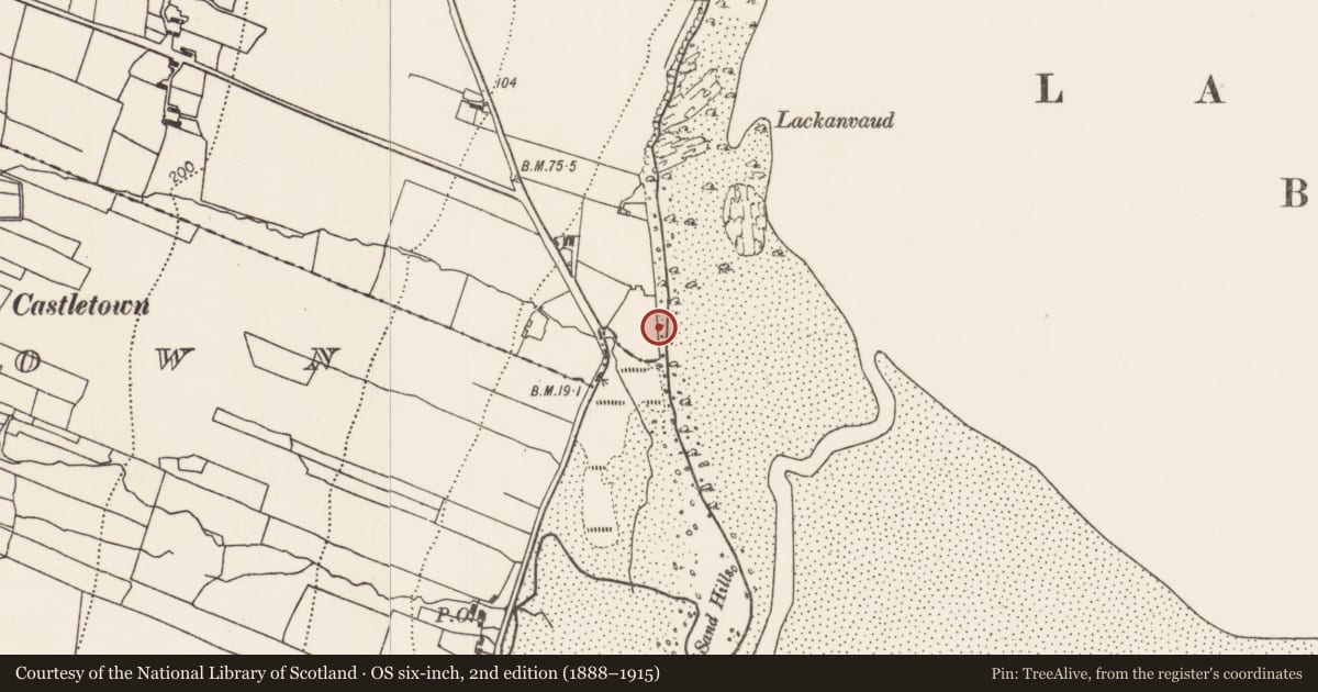 Ordnance Survey six-inch map, 2nd edition (1888–1915) covering the location of Hearth, Beltra (Tirawley By., Lackan Par.), County Mayo, with a pin at the register's coordinates