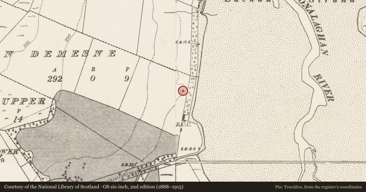 Ordnance Survey six-inch map, 2nd edition (1888–1915) covering the location of Ringfort - rath, Castlelackan Demesne, County Mayo, with a pin at the register's coordinates