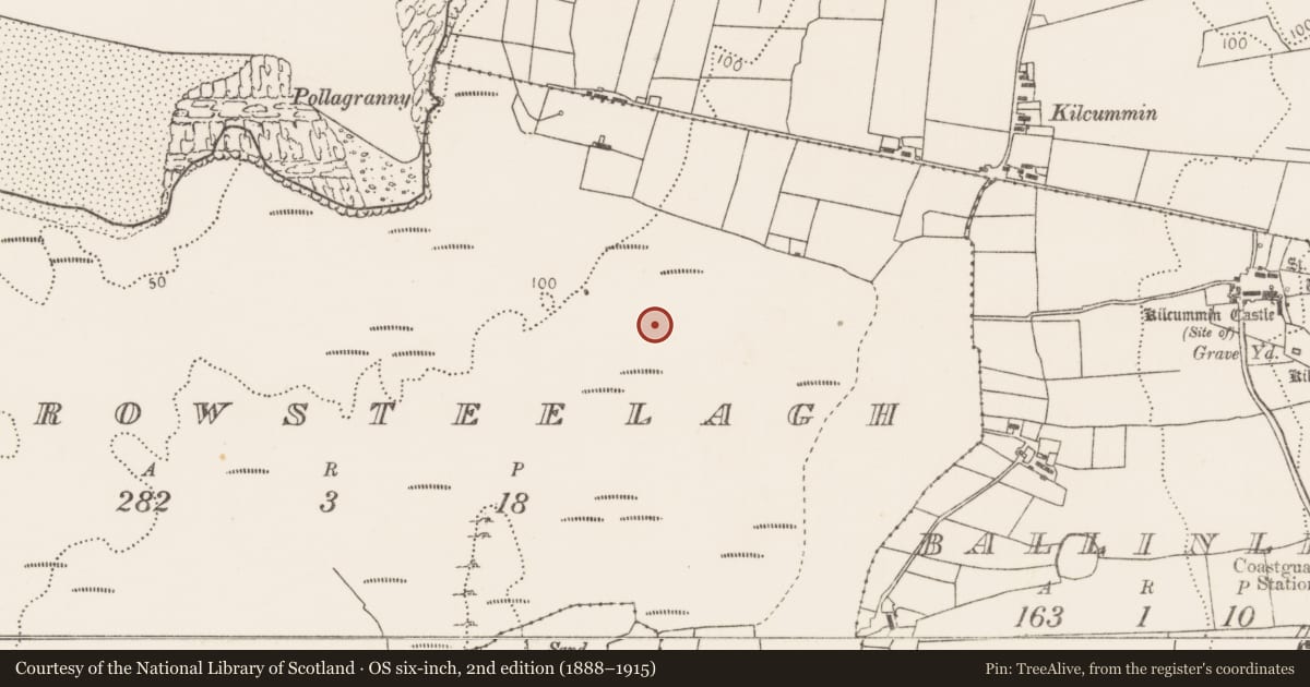 Ordnance Survey six-inch map, 2nd edition (1888–1915) covering the location of House - indeterminate date, Carrowsteelagh, County Mayo, with a pin at the register's coordinates