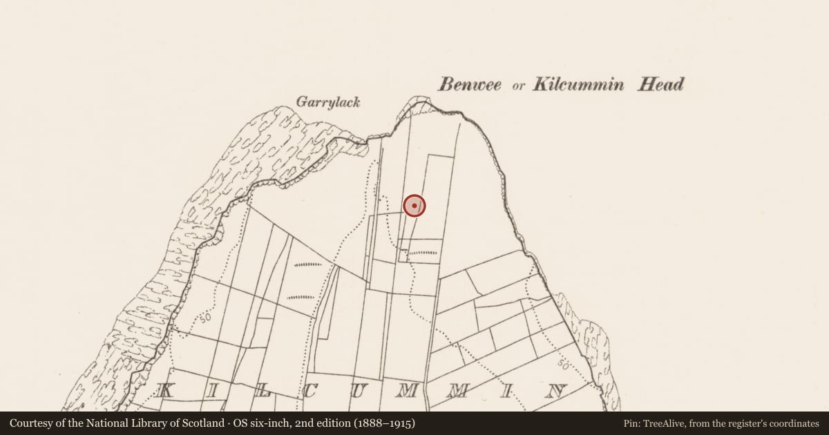 Ordnance Survey six-inch map, 2nd edition (1888–1915) covering the location of Earthwork, Kilcummin, County Mayo, with a pin at the register's coordinates