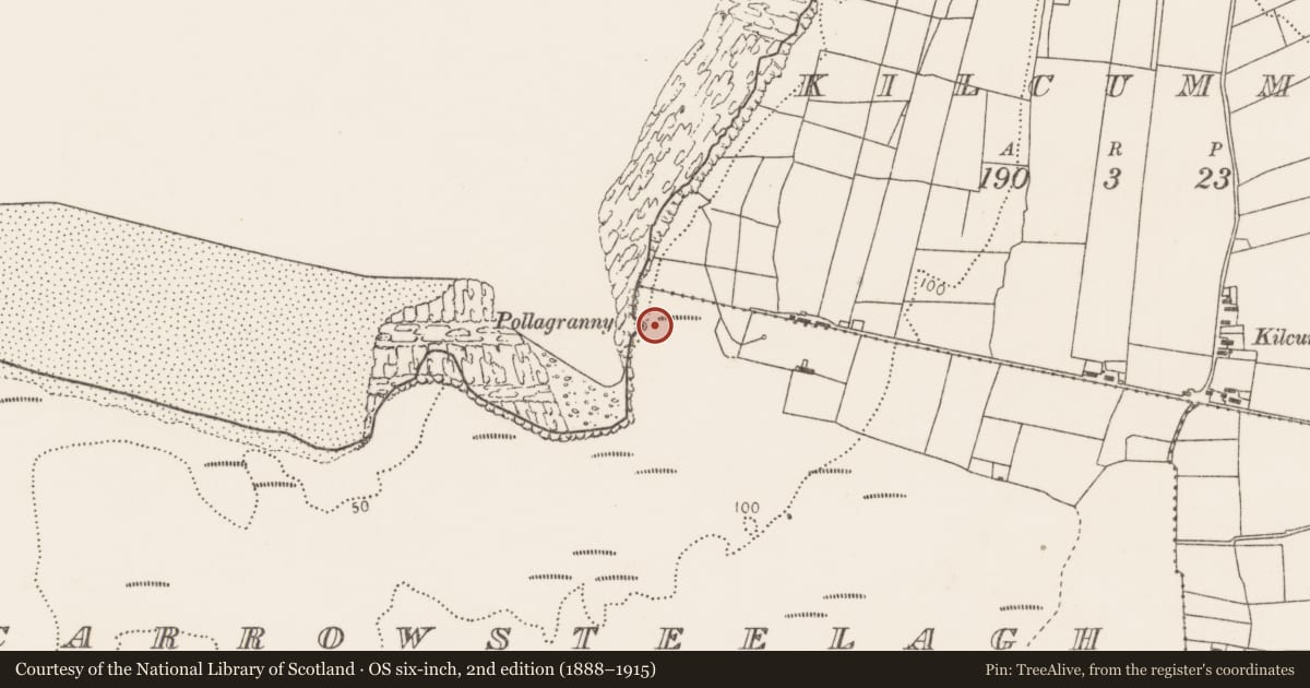 Ordnance Survey six-inch map, 2nd edition (1888–1915) covering the location of Mound, Carrowsteelagh, County Mayo, with a pin at the register's coordinates