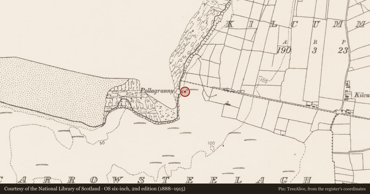 Ordnance Survey six-inch map, 2nd edition (1888–1915) covering the location of Slab-lined burial, Carrowsteelagh, County Mayo, with a pin at the register's coordinates