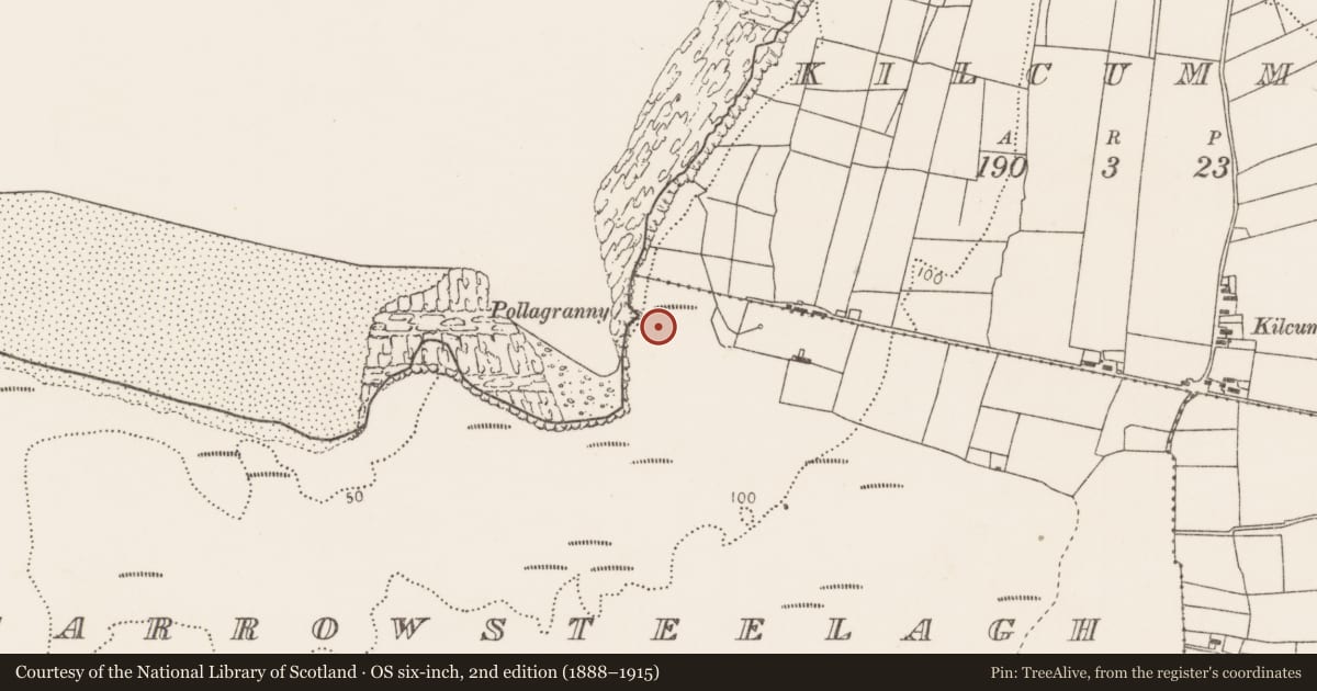 Ordnance Survey six-inch map, 2nd edition (1888–1915) covering the location of Barrow - unclassified, Carrowsteelagh, County Mayo, with a pin at the register's coordinates