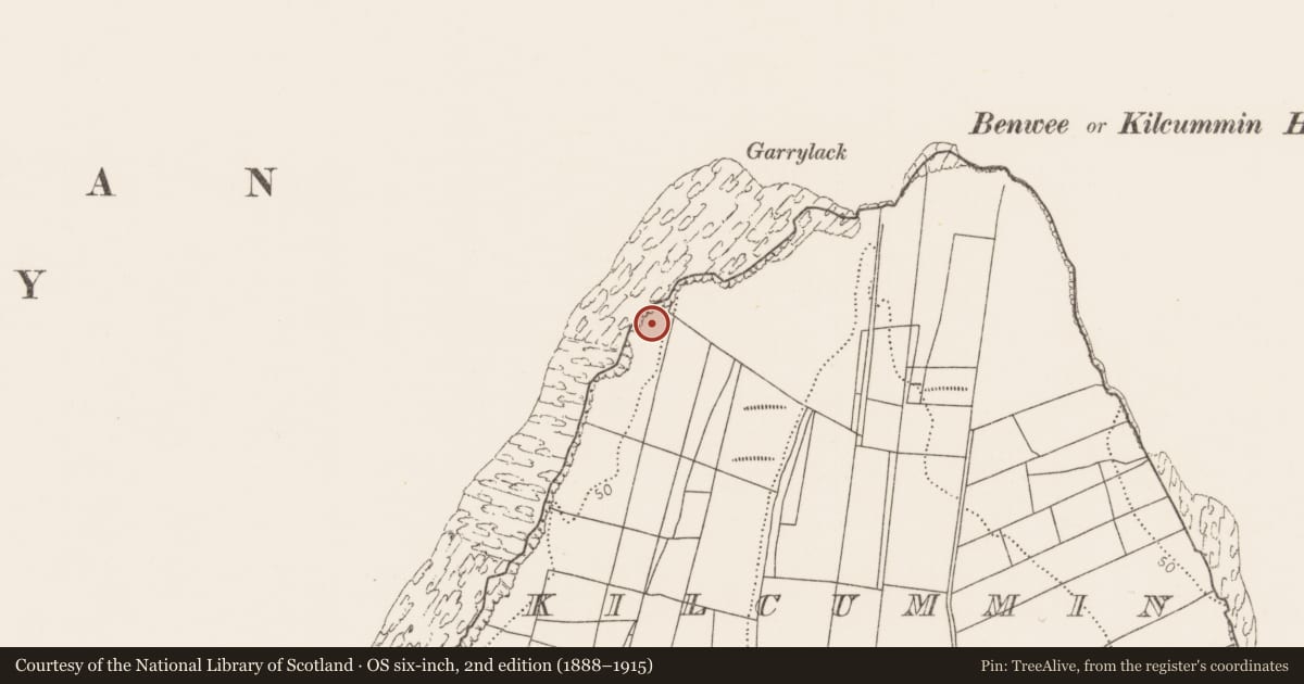 Ordnance Survey six-inch map, 2nd edition (1888–1915) covering the location of Enclosure, Kilcummin, County Mayo, with a pin at the register's coordinates