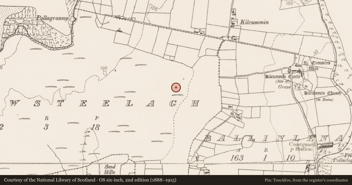 Ordnance Survey six-inch map, 2nd edition (1888–1915) covering the location of Enclosure, Carrowsteelagh, County Mayo, with a pin at the register's coordinates