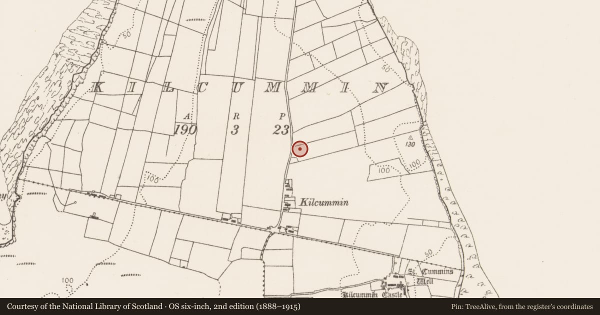 Ordnance Survey six-inch map, 2nd edition (1888–1915) covering the location of Megalithic structure, Kilcummin, County Mayo, with a pin at the register's coordinates
