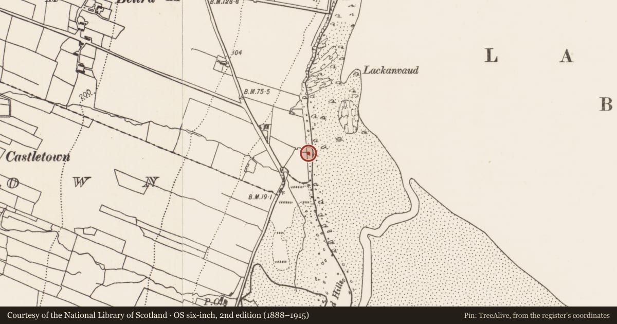 Ordnance Survey six-inch map, 2nd edition (1888–1915) covering the location of Midden, Beltra (Tirawley By., Lackan Par.), County Mayo, with a pin at the register's coordinates