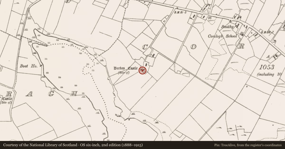 Ordnance Survey six-inch map, 2nd edition (1888–1915) covering the location of Castle - unclassified, An Chorrchloch (Kilmore Par.), County Mayo, with a pin at the register's coordinates