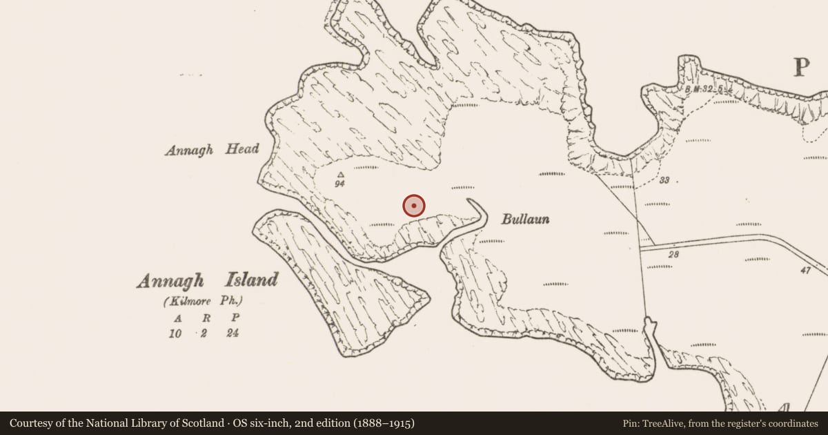Ordnance Survey six-inch map, 2nd edition (1888–1915) covering the location of Hut site, An Teanach, County Mayo, with a pin at the register's coordinates