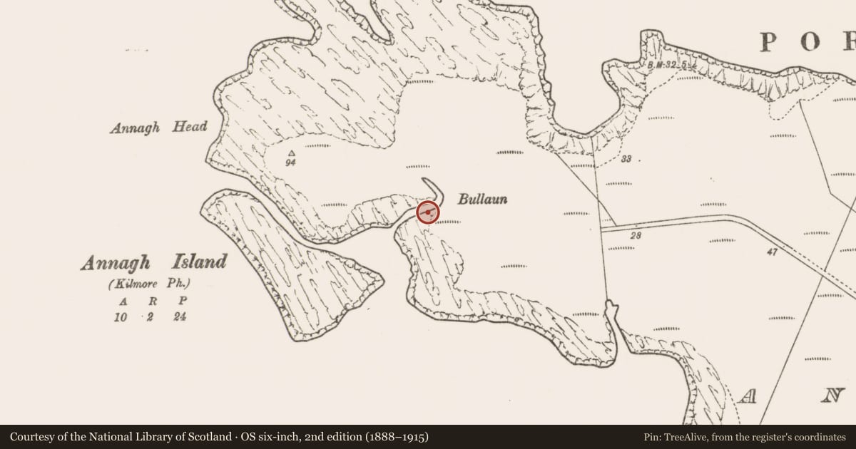 Ordnance Survey six-inch map, 2nd edition (1888–1915) covering the location of Bullaun stone, An Teanach, County Mayo, with a pin at the register's coordinates