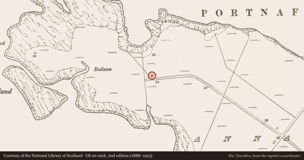 Ordnance Survey six-inch map, 2nd edition (1888–1915) covering the location of House - indeterminate date, An Teanach, County Mayo, with a pin at the register's coordinates
