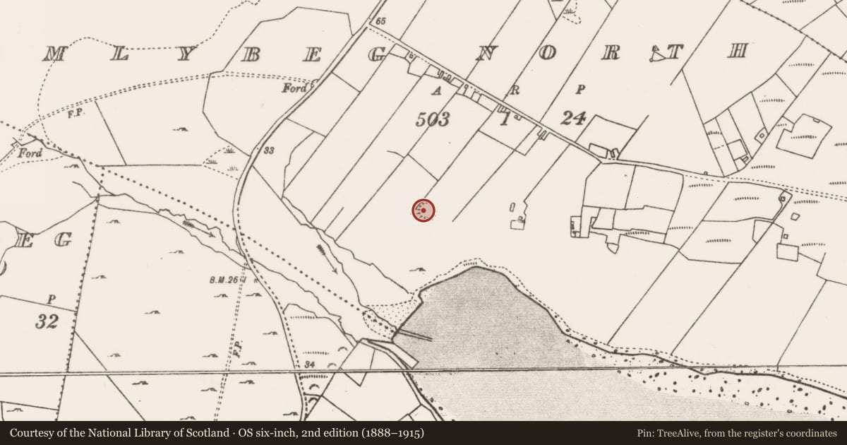 Ordnance Survey six-inch map, 2nd edition (1888–1915) covering the location of Ringfort - rath, Imleach Beag Thuaidh, County Mayo, with a pin at the register's coordinates