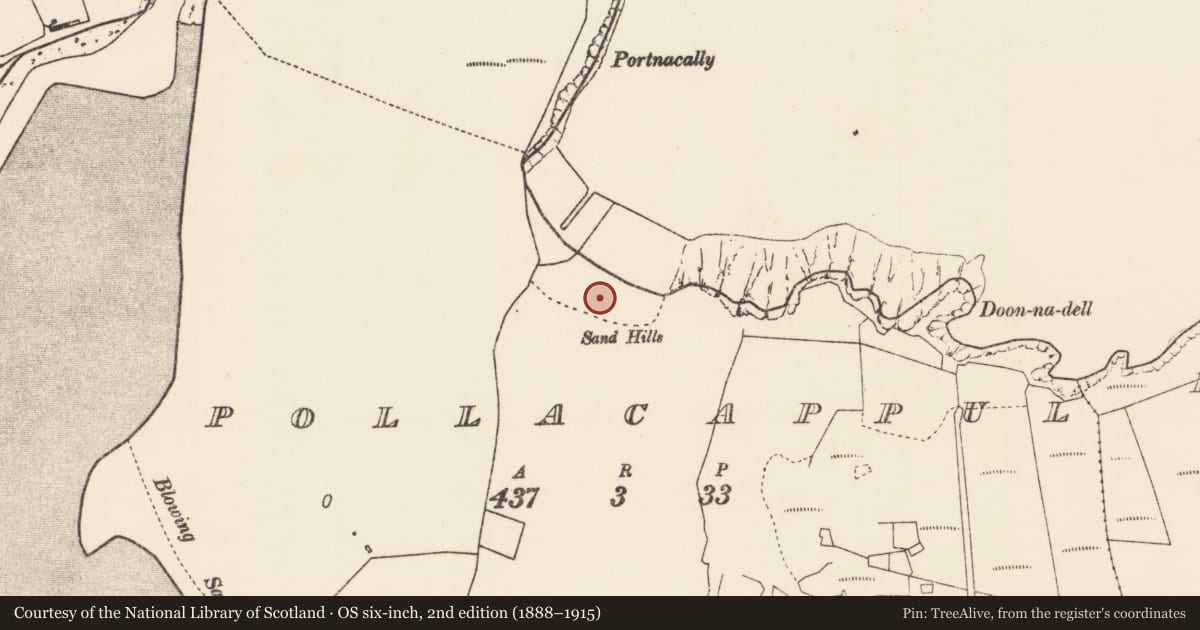 Ordnance Survey six-inch map, 2nd edition (1888–1915) covering the location of Habitation site, Poll An Chapaill, County Mayo, with a pin at the register's coordinates