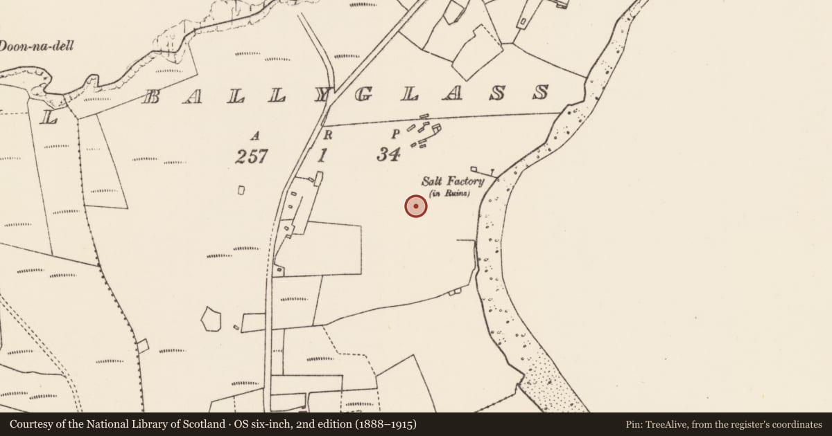 Ordnance Survey six-inch map, 2nd edition (1888–1915) covering the location of Ringfort - cashel, An Baile Glas, County Mayo, with a pin at the register's coordinates