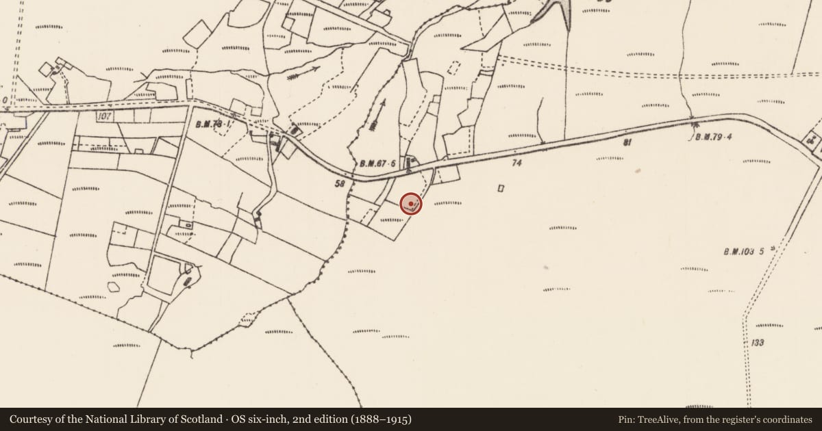 Ordnance Survey six-inch map, 2nd edition (1888–1915) covering the location of Megalithic tomb - court tomb, Seanachaidh, County Mayo, with a pin at the register's coordinates