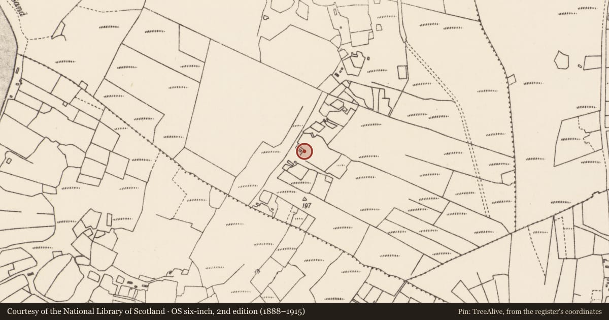 Ordnance Survey six-inch map, 2nd edition (1888–1915) covering the location of Megalithic tomb - unclassified, Poll An Chapaill, County Mayo, with a pin at the register's coordinates