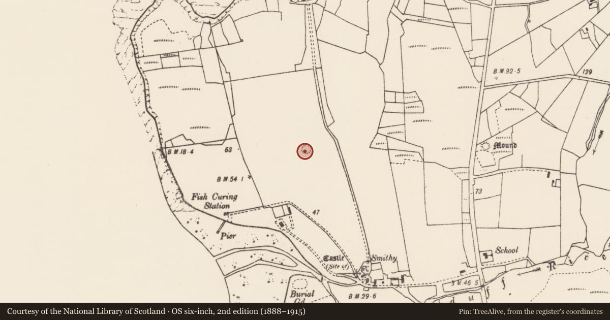 Ordnance Survey six-inch map, 2nd edition (1888–1915) covering the location of Enclosure, An Tinbhear, County Mayo, with a pin at the register's coordinates