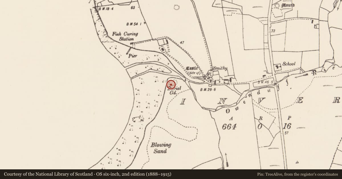 Ordnance Survey six-inch map, 2nd edition (1888–1915) covering the location of Children's burial ground, An Tinbhear, County Mayo, with a pin at the register's coordinates