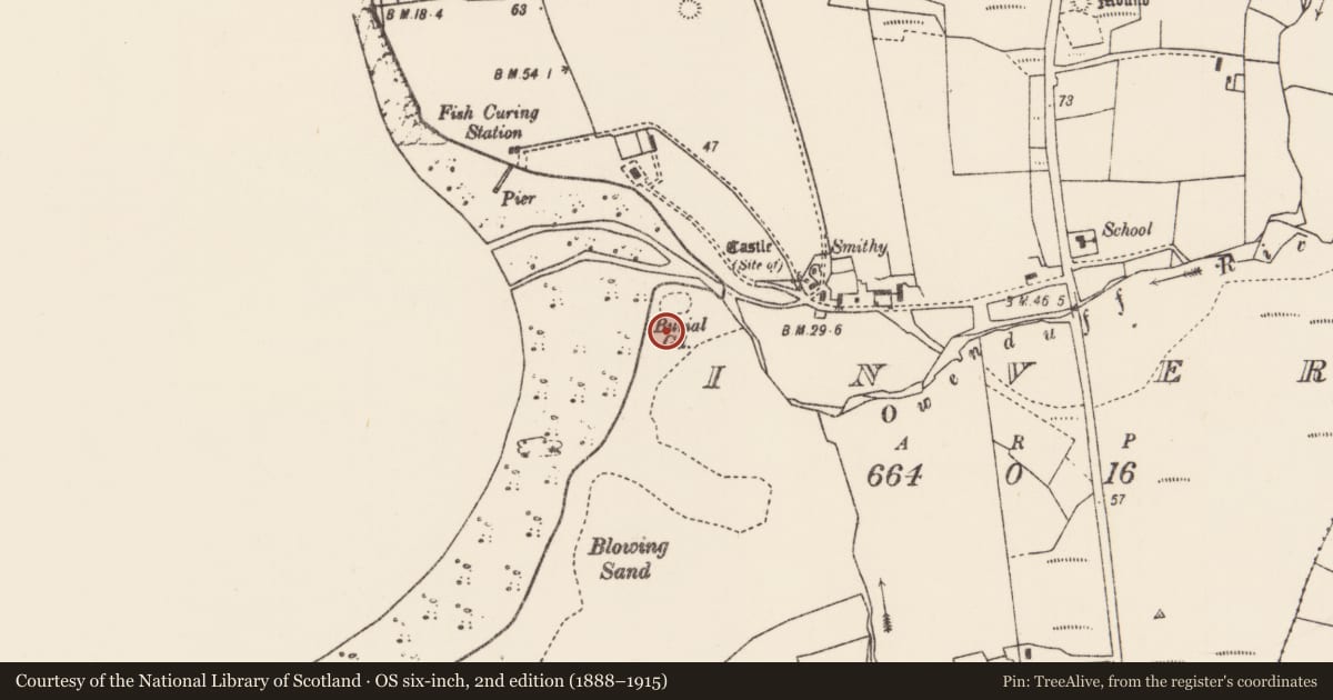 Ordnance Survey six-inch map, 2nd edition (1888–1915) covering the location of Habitation site, An Tinbhear, County Mayo, with a pin at the register's coordinates