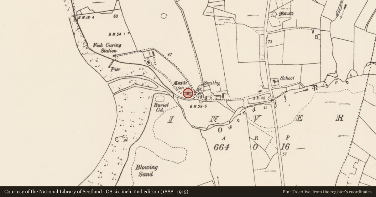 Ordnance Survey six-inch map, 2nd edition (1888–1915) covering the location of Castle - unclassified, An Tinbhear, County Mayo, with a pin at the register's coordinates