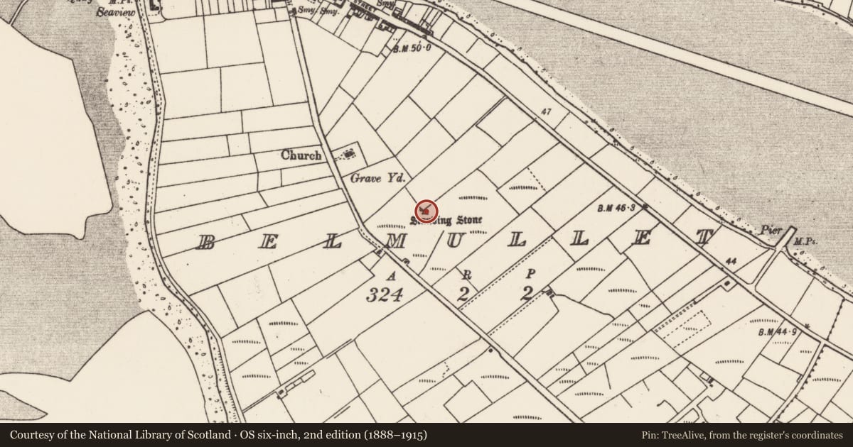 Ordnance Survey six-inch map, 2nd edition (1888–1915) covering the location of Standing stone, Béal An Mhuirthead, County Mayo, with a pin at the register's coordinates