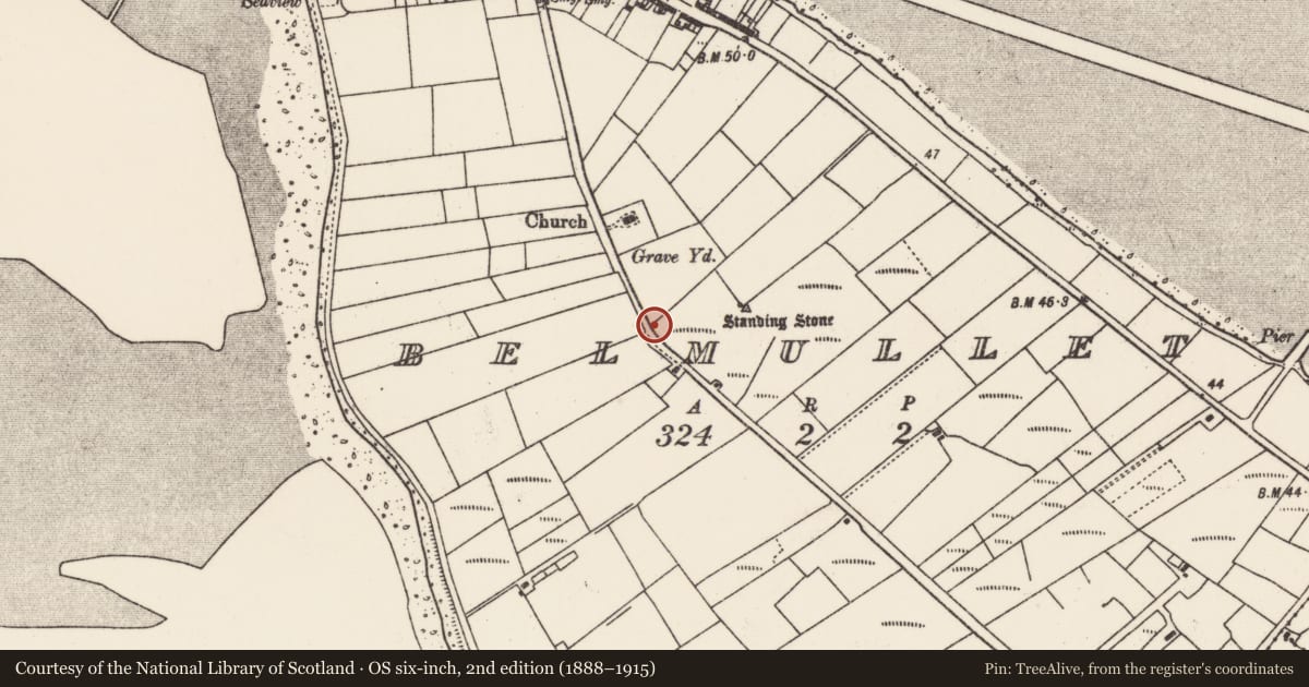 Ordnance Survey six-inch map, 2nd edition (1888–1915) covering the location of Standing stone (present location), Béal An Mhuirthead, County Mayo, with a pin at the register's coordinates