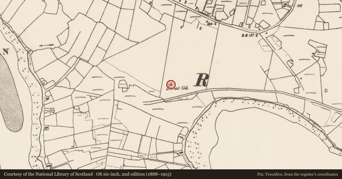 Ordnance Survey six-inch map, 2nd edition (1888–1915) covering the location of Children's burial ground, Maigh Raithin, County Mayo, with a pin at the register's coordinates