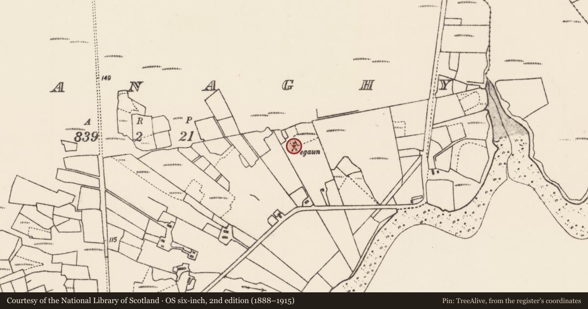 Ordnance Survey six-inch map, 2nd edition (1888–1915) covering the location of Enclosure, Seanachaidh, County Mayo, with a pin at the register's coordinates