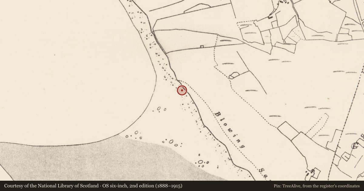 Ordnance Survey six-inch map, 2nd edition (1888–1915) covering the location of Burial, An Tinbhear, County Mayo, with a pin at the register's coordinates